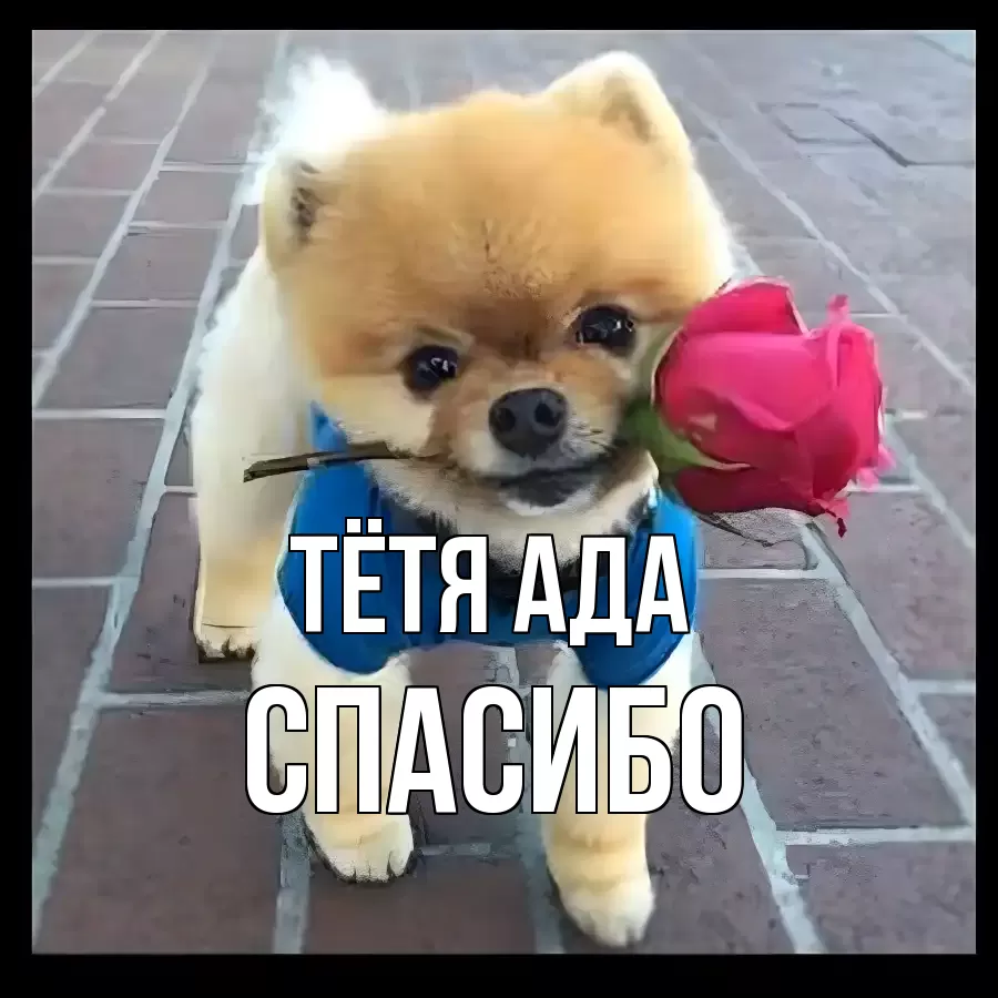 ОТКРЫТКА ТЁТЯ-АДА