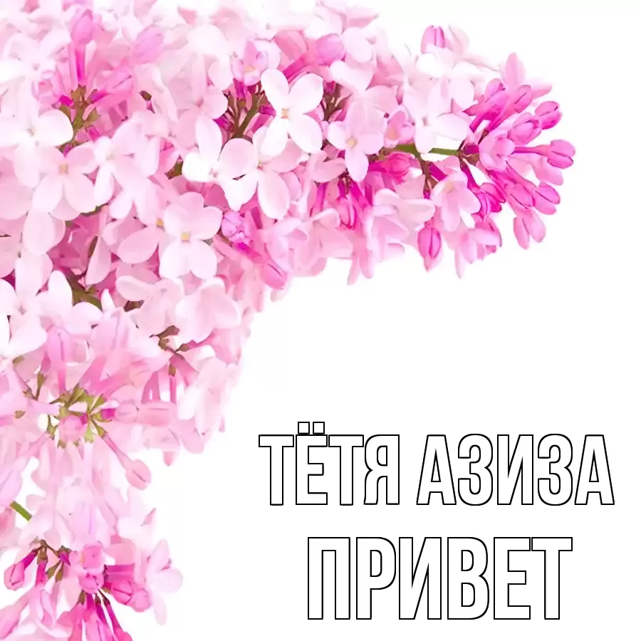 ОТКРЫТКА ТЁТЯ-АЗИЗА