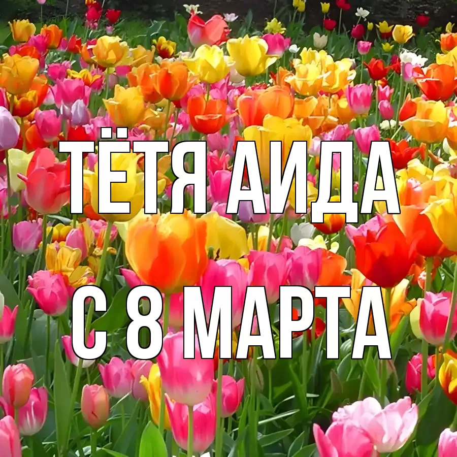 ОТКРЫТКА ТЁТЯ-АИДА