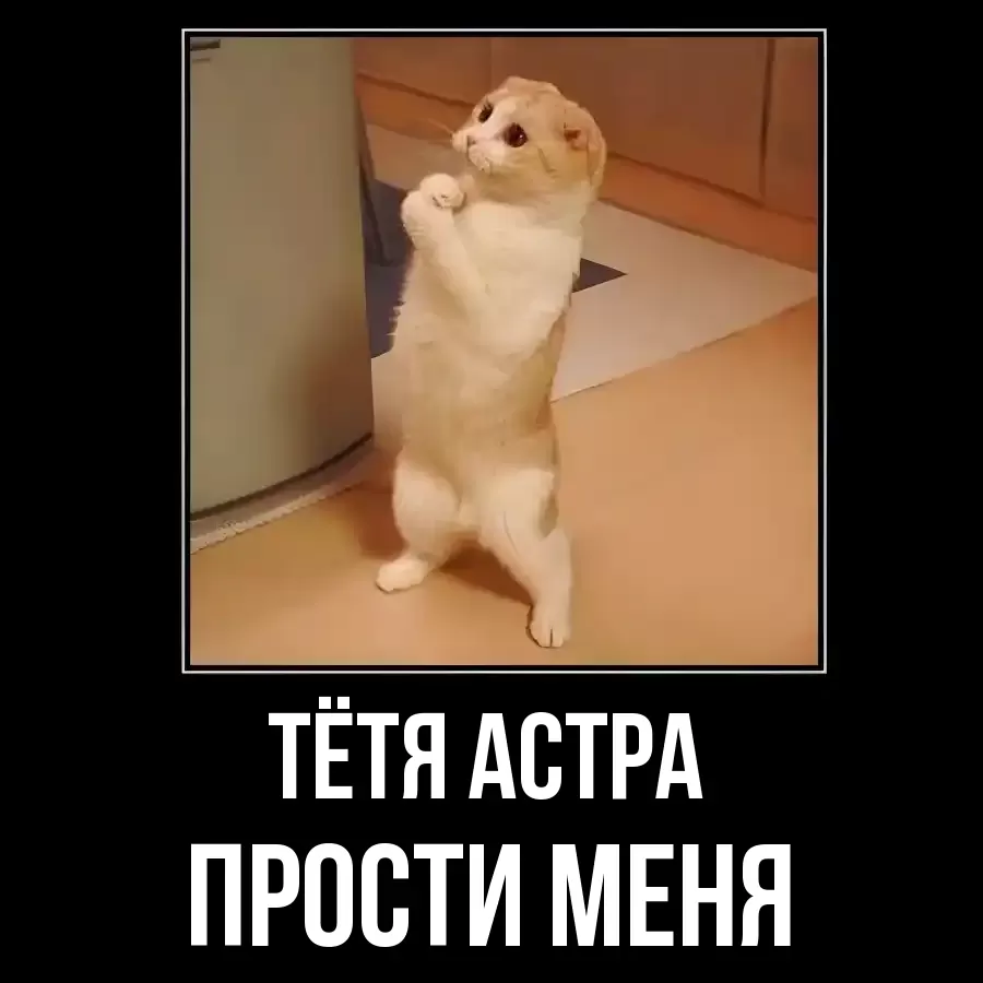 ПРОСТИ МЕНЯ ТЁТЯ-АСТРА