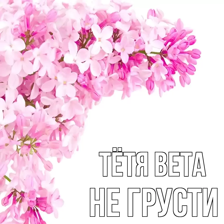 ОТКРЫТКА ТЁТЯ-ВЕТА