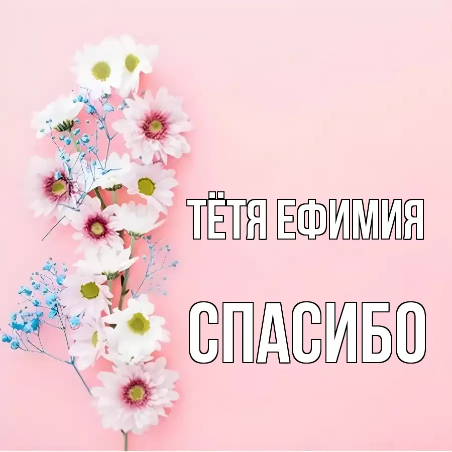 ОТКРЫТКА ТЁТЯ-ЕФИМИЯ