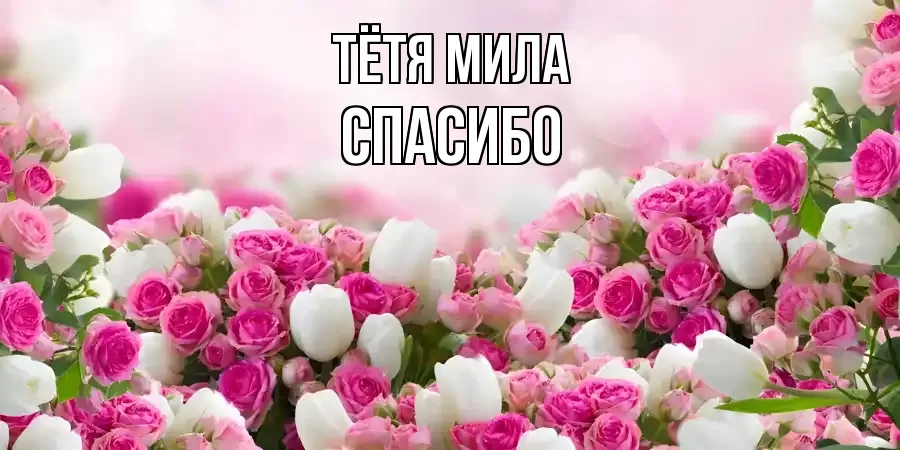 ОТКРЫТКА ТЁТЯ-МИЛА