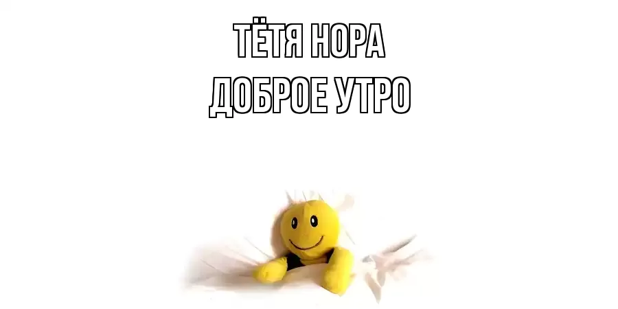 ДОБРОЕ УТРО ТЁТЯ-НОРА