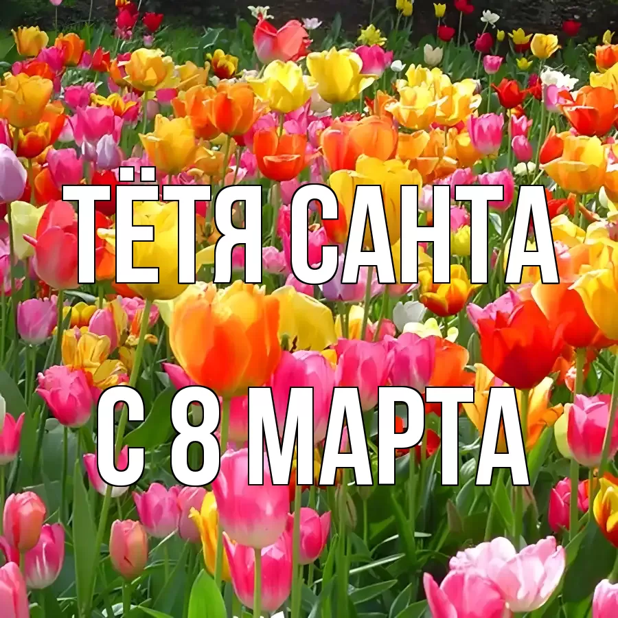 ОТКРЫТКА ТЁТЯ-САНТА