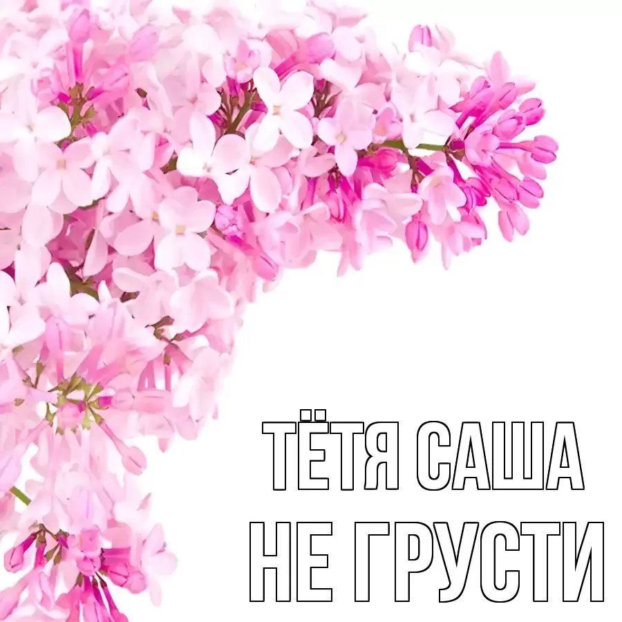ОТКРЫТКА ТЁТЯ-САША