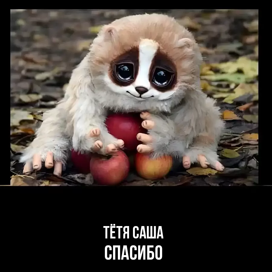 ОТКРЫТКА ТЁТЯ-САША