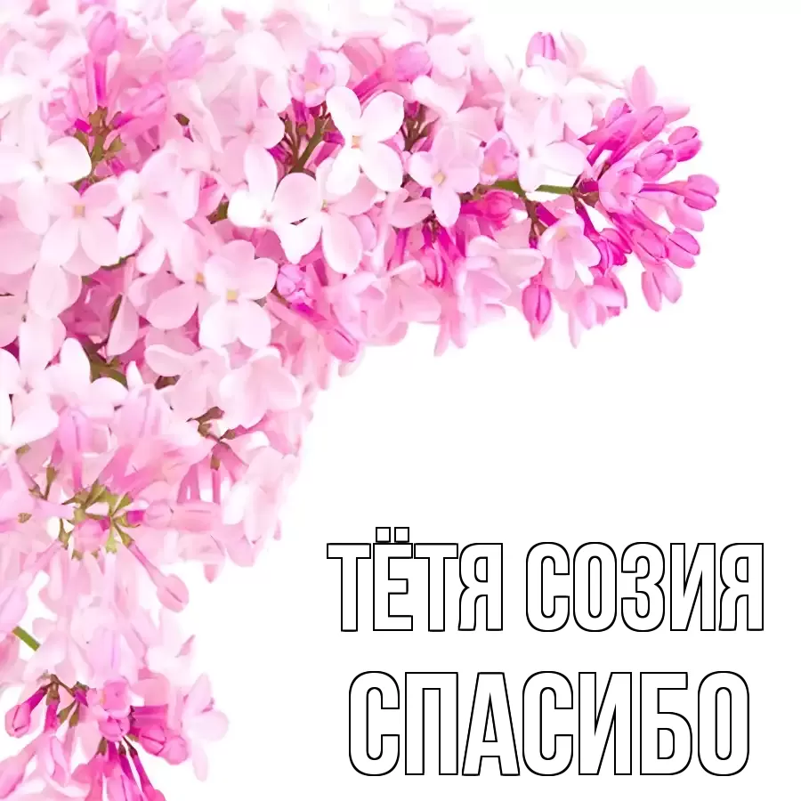 ОТКРЫТКА ТЁТЯ-СОЗИЯ