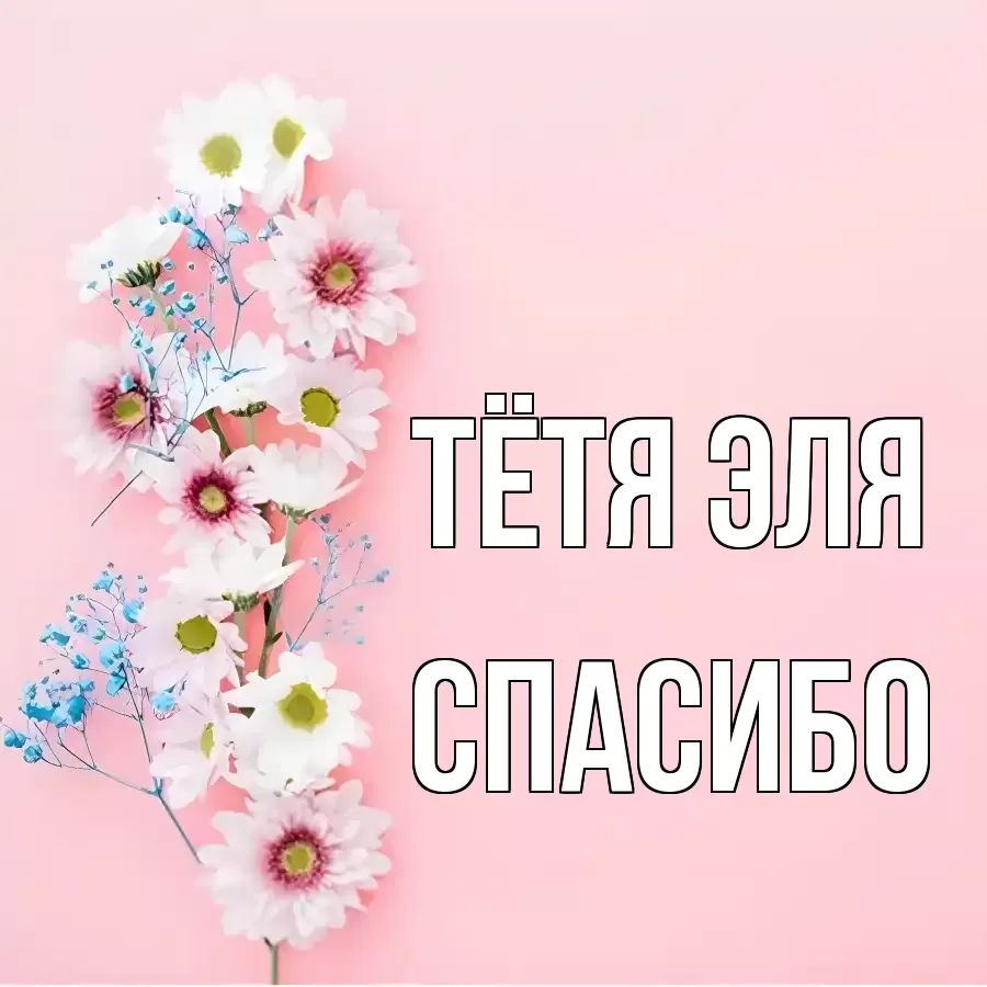 ОТКРЫТКА ТЁТЯ-ЭЛЯ