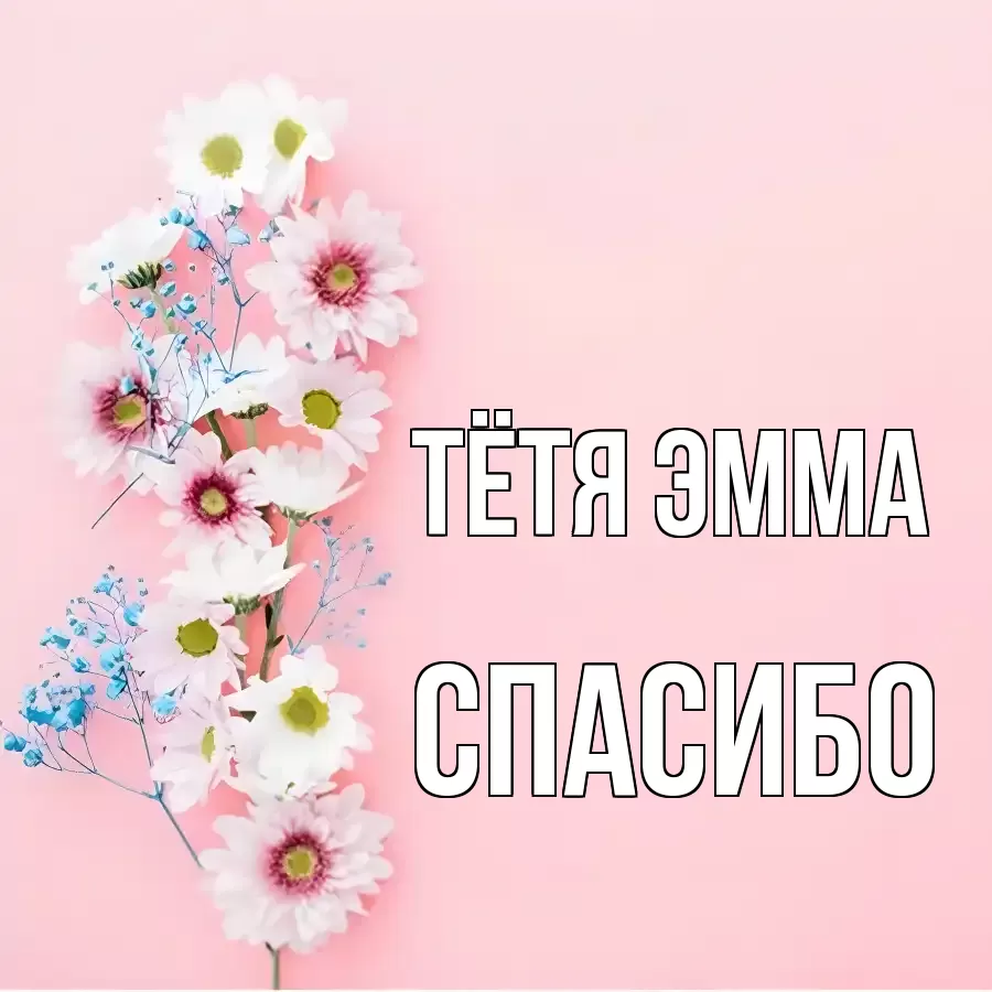ОТКРЫТКА ТЁТЯ-ЭММА