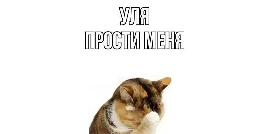 ПРОСТИ МЕНЯ УЛЯ