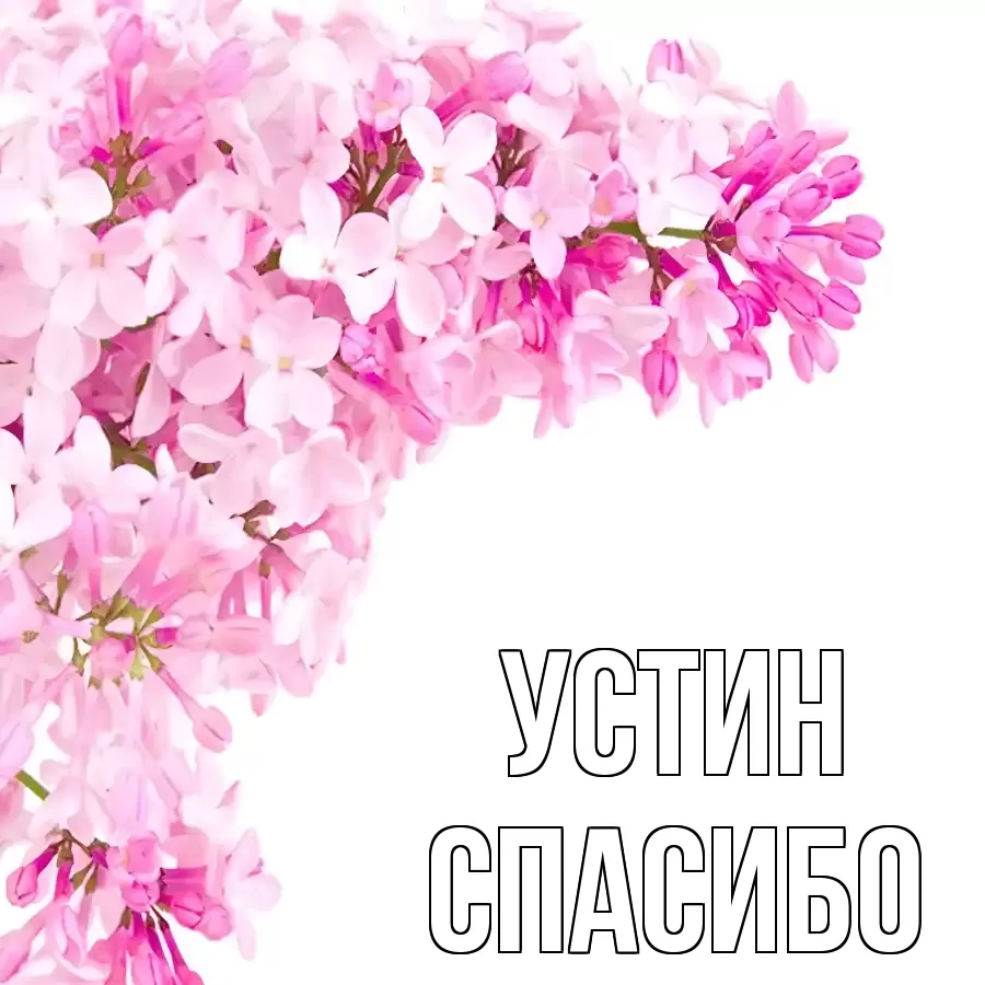 ОТКРЫТКА УСТИН