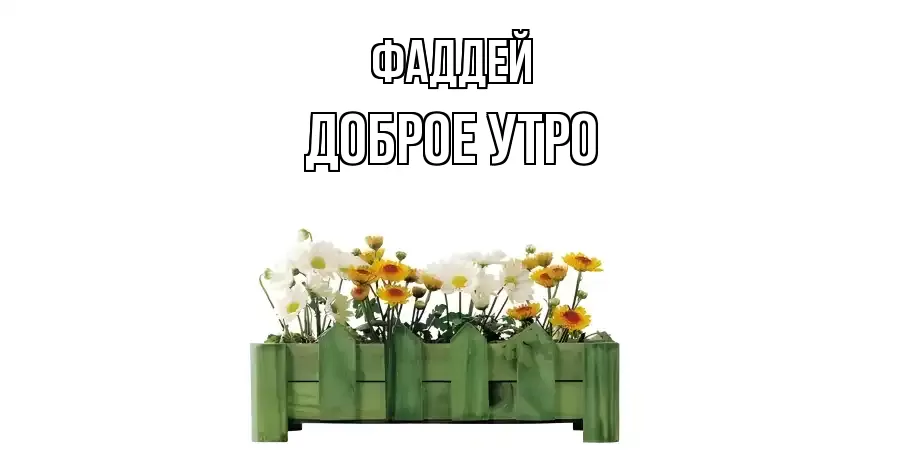 ДОБРОЕ УТРО ФАДДЕЙ