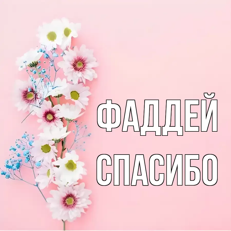 ОТКРЫТКА ФАДДЕЙ