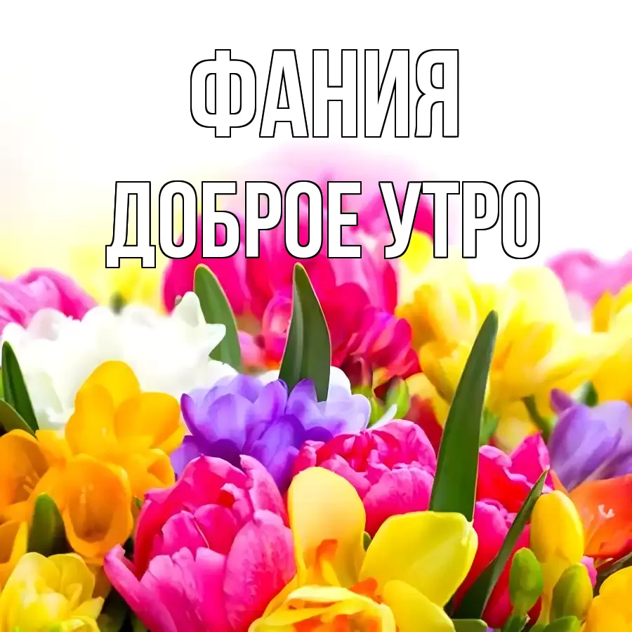 ДОБРОЕ УТРО ФАНИЯ