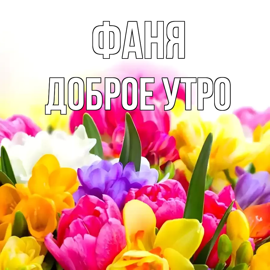 ДОБРОЕ УТРО ФАНЯ