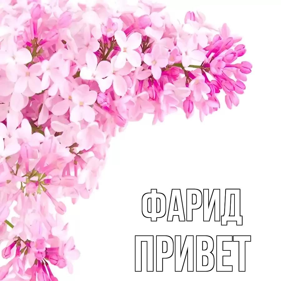 ОТКРЫТКА ФАРИД