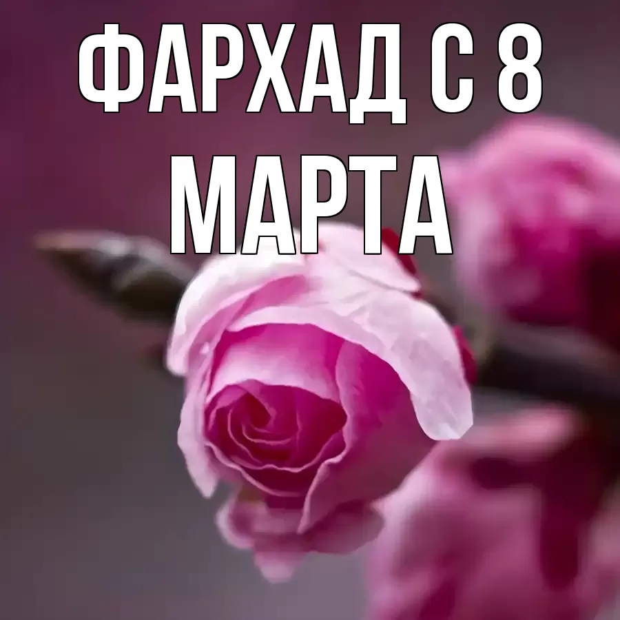 ОТКРЫТКА ФАРХАД
