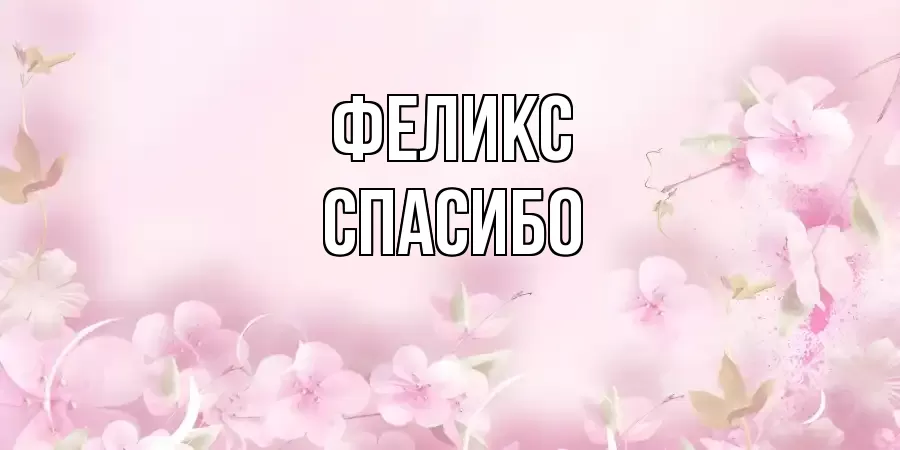 ОТКРЫТКА ФЕЛИКС