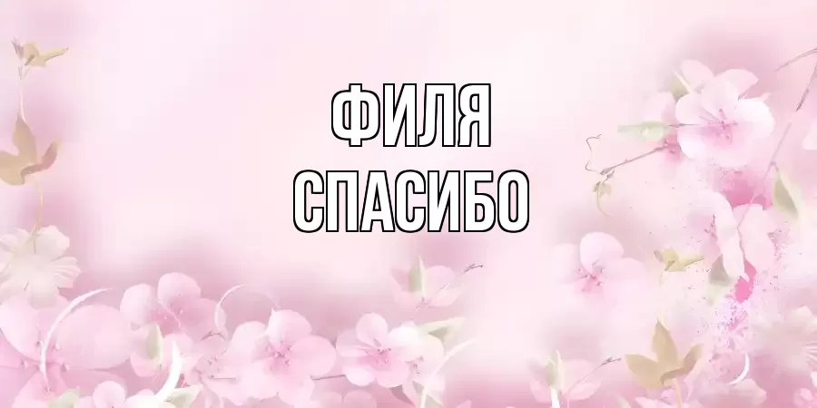 ОТКРЫТКА ФИЛЯ