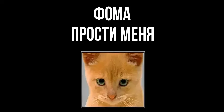 ПРОСТИ МЕНЯ ФОМА