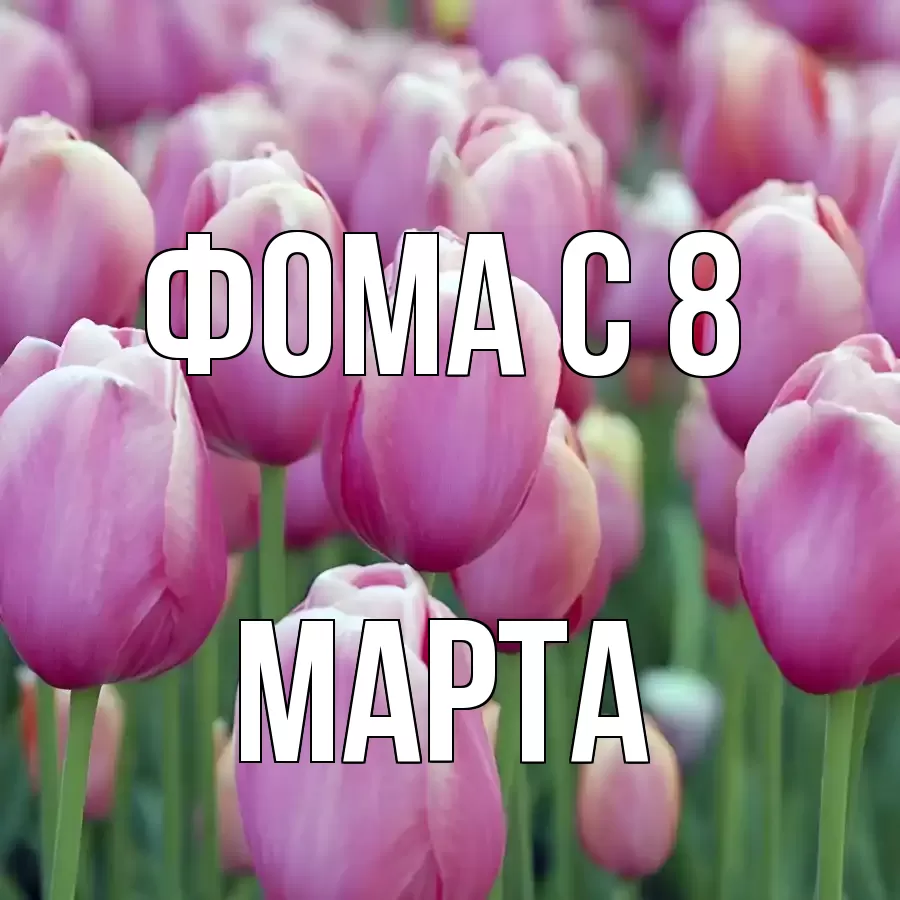 ОТКРЫТКА ФОМА