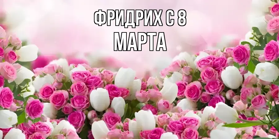 ОТКРЫТКА ФРИДРИХ