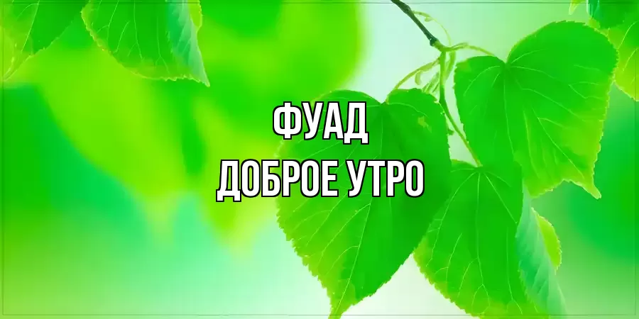ДОБРОЕ УТРО ФУАД