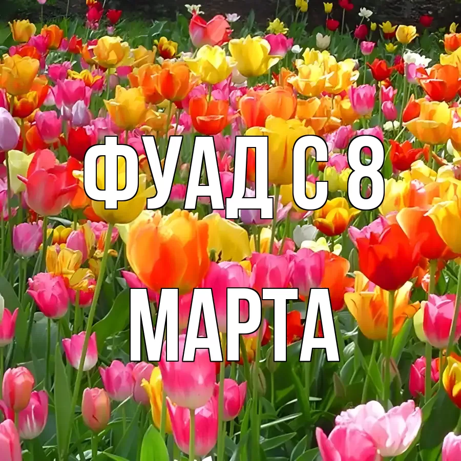 ОТКРЫТКА ФУАД