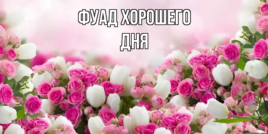 ОТКРЫТКА ФУАД