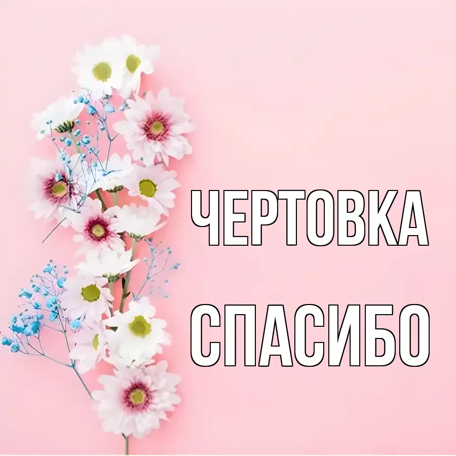 ОТКРЫТКА ЧЕРТОВКА