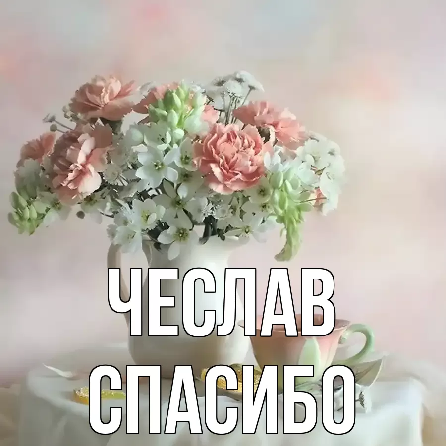 ОТКРЫТКА ЧЕСЛАВ