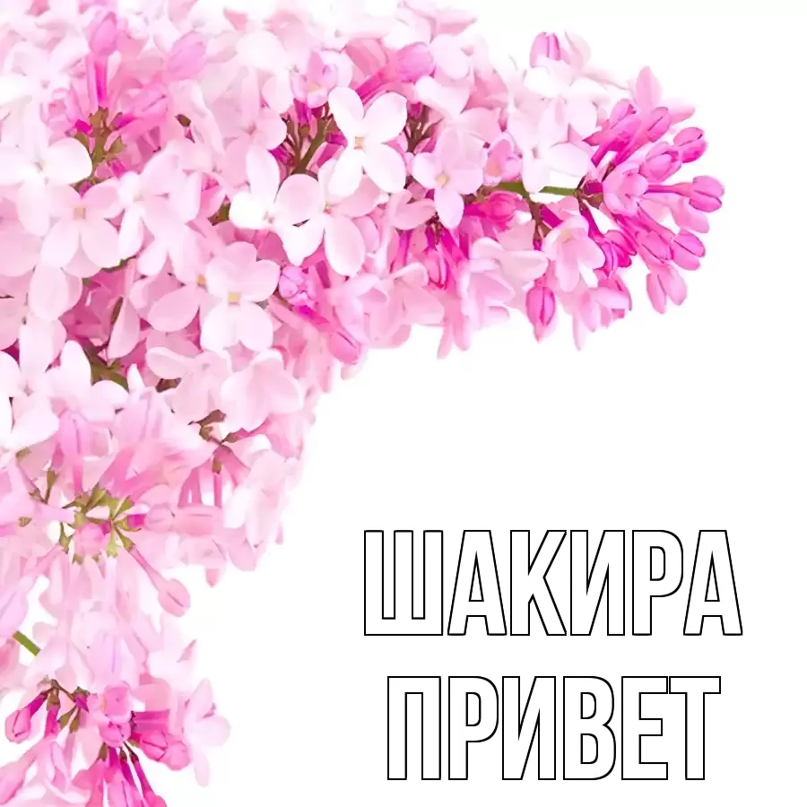 ОТКРЫТКА ШАКИРА