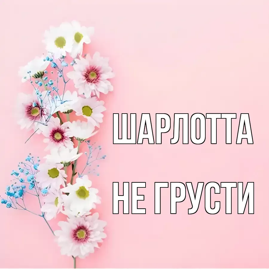 ОТКРЫТКА ШАРЛОТТА