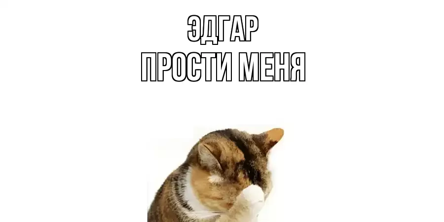 ПРОСТИ МЕНЯ ЭДГАР