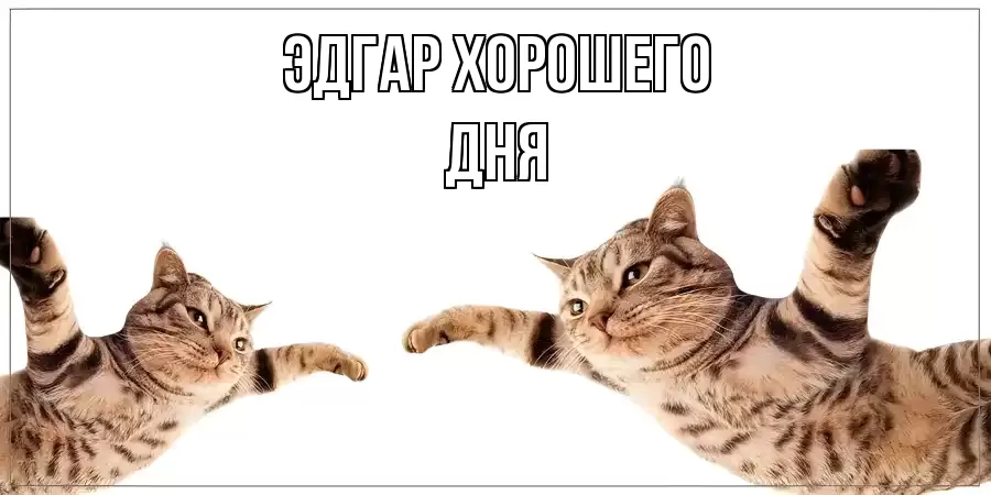 ОТКРЫТКА ЭДГАР