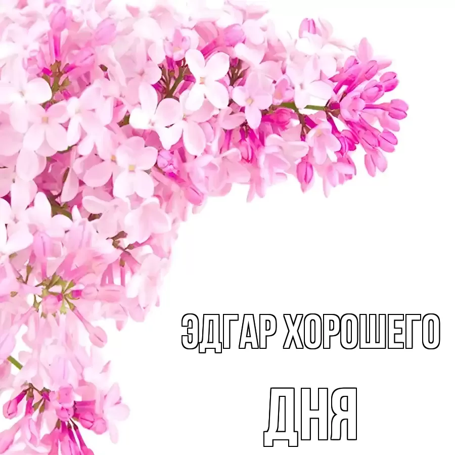 ОТКРЫТКА ЭДГАР