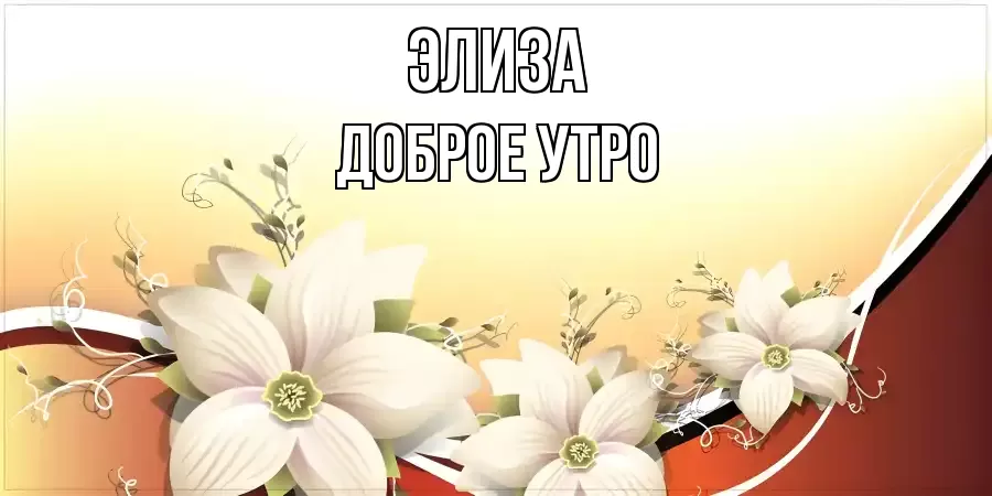 ДОБРОЕ УТРО ЭЛИЗА