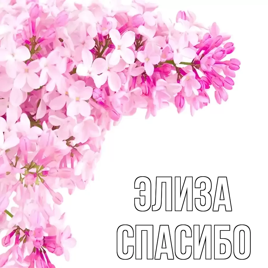 ОТКРЫТКА ЭЛИЗА