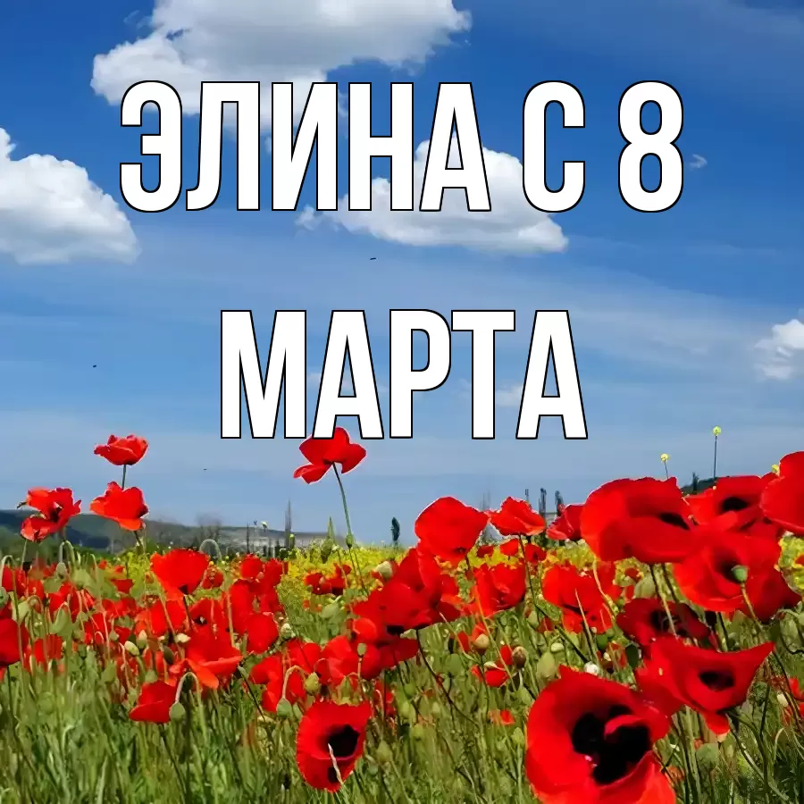 ОТКРЫТКА ЭЛИНА