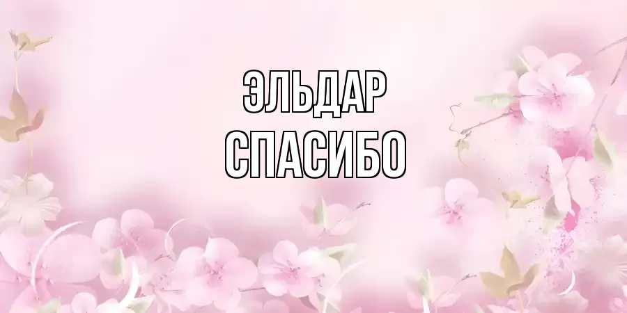 ОТКРЫТКА ЭЛЬДАР