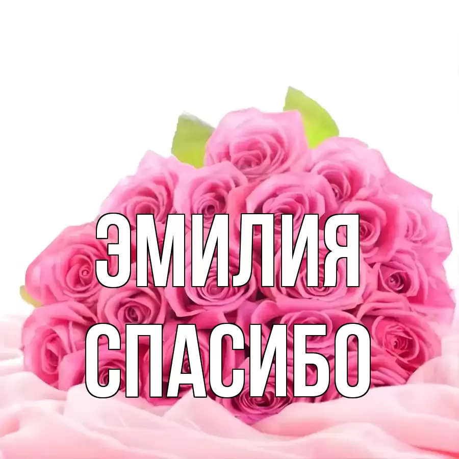 ОТКРЫТКА ЭМИЛИЯ