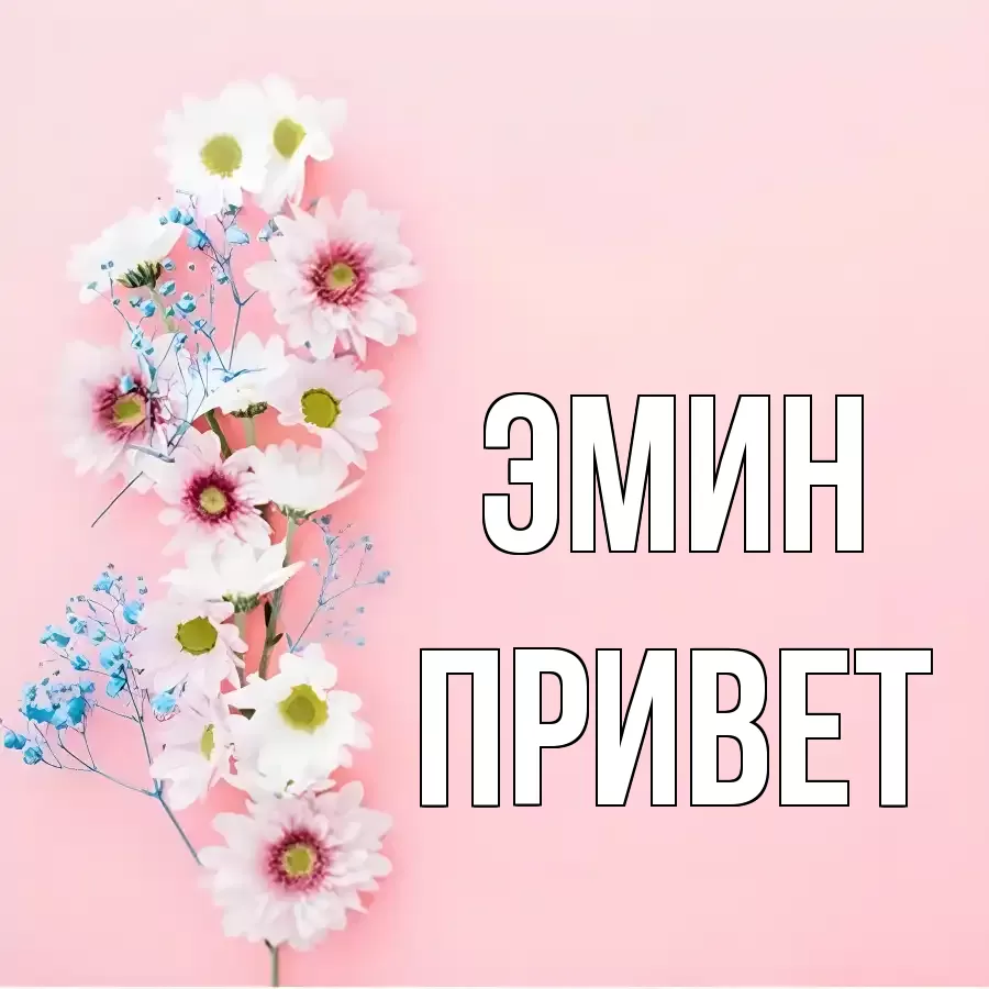 ОТКРЫТКА ЭМИН