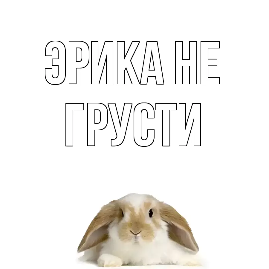 ОТКРЫТКА ЭРИКА