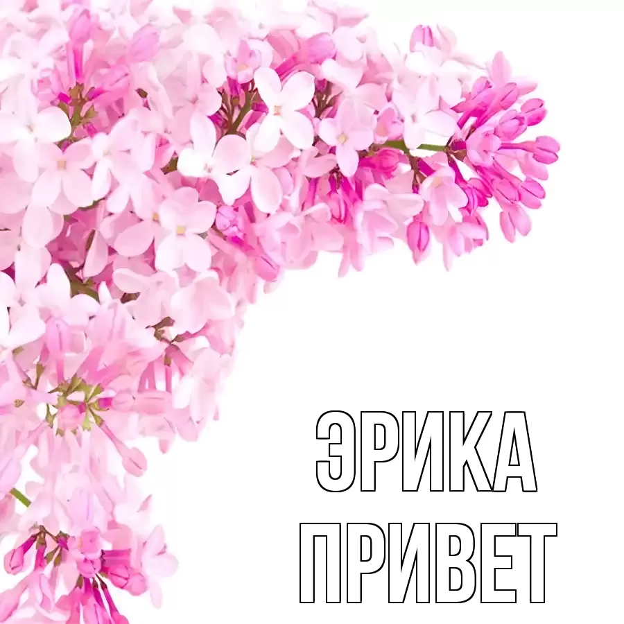 ОТКРЫТКА ЭРИКА