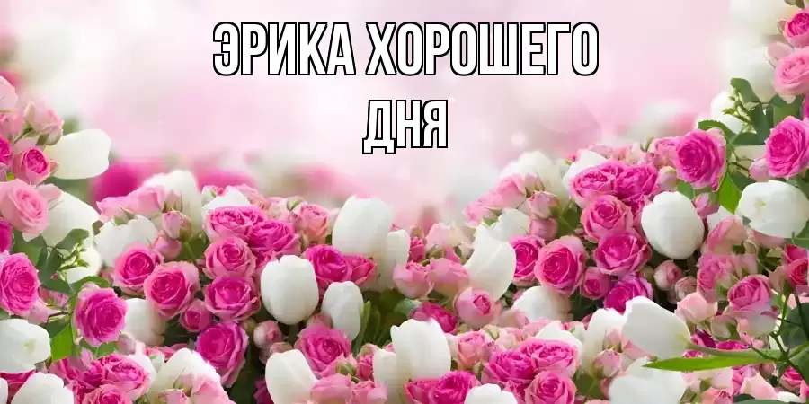 ОТКРЫТКА ЭРИКА