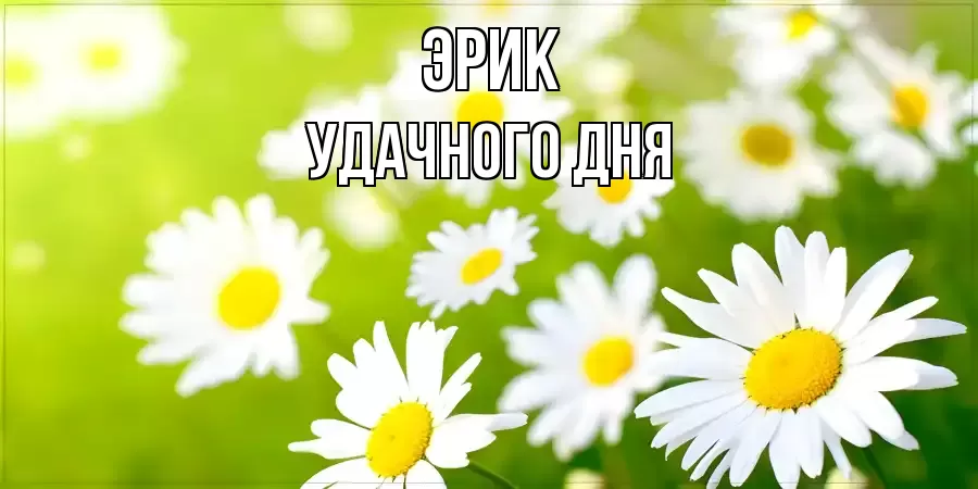 УДАЧНОГО ДНЯ ЭРИК