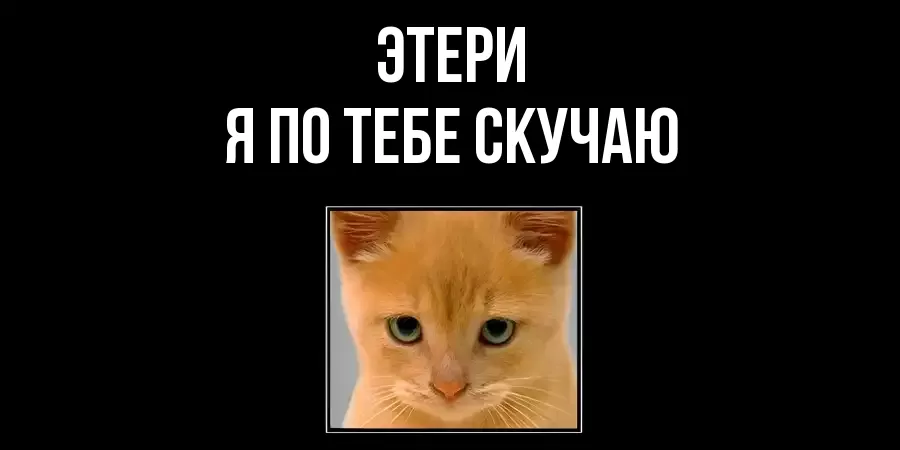 ЭТЕРИ Я ПО ТЕБЕ СКУЧАЮ