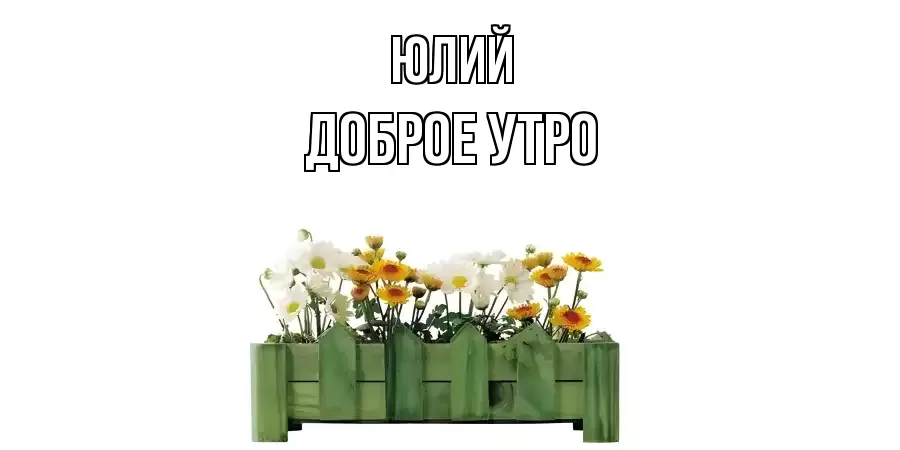 ДОБРОЕ УТРО ЮЛИЙ