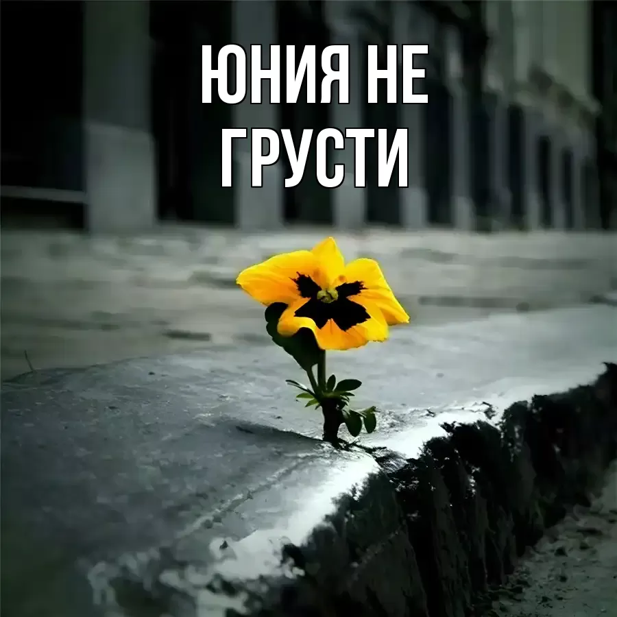 ОТКРЫТКА ЮНИЯ